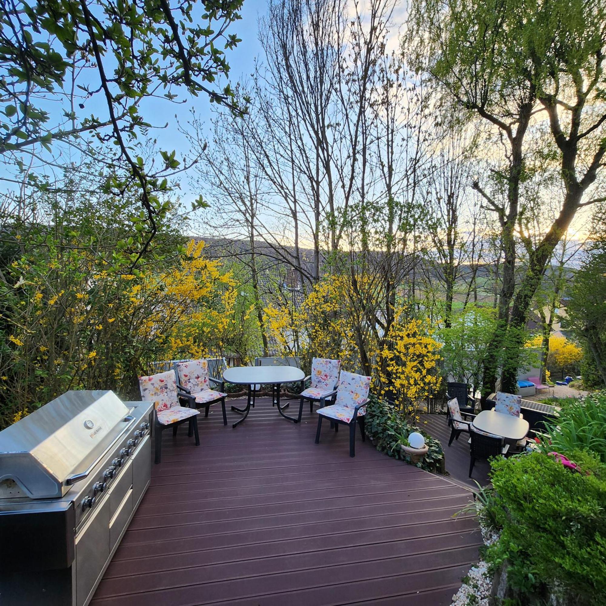 Gardenview Apartments & Suites Bei Bad Kissingen Нюдлинген Экстерьер фото